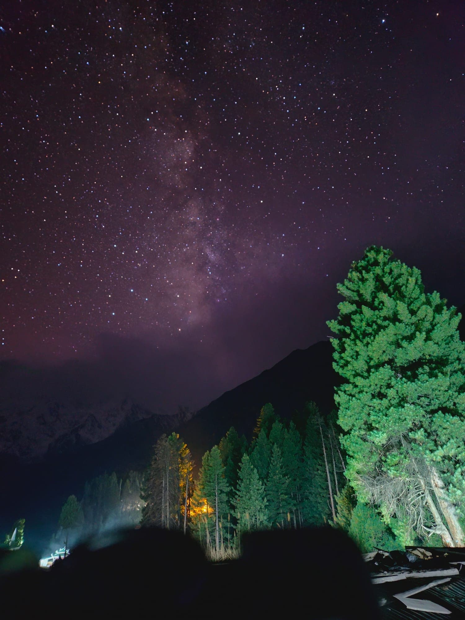 The Milky Way over a dark forest