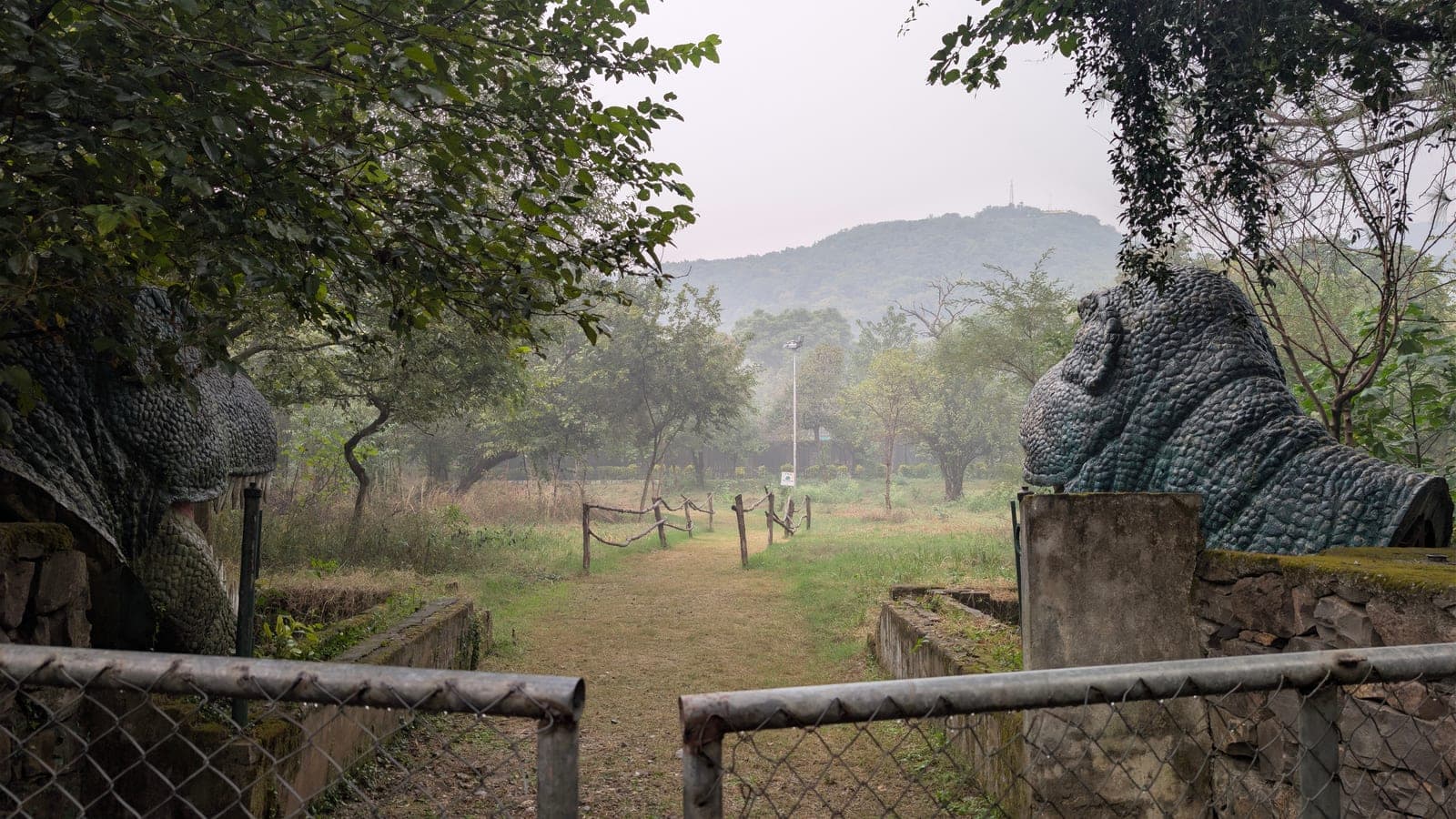 A misty orchard path behind a wooden fence